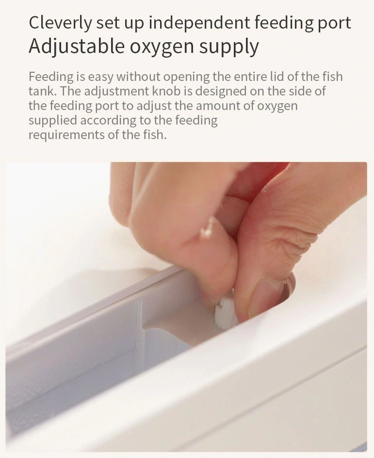 Xiaomi Geometry Fish Tank Transparent Aquarium (11)