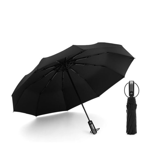 Auto Open Close Windproof Umbrella (3)
